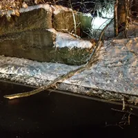 IMAG9483-20231209-005924923.jpg