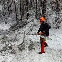 img-20230202-wa0022.jpg